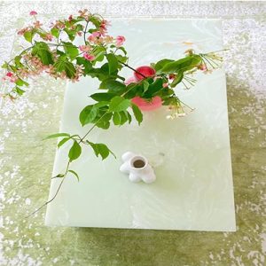 Green Onyx coffee table of home