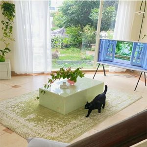 Green Onyx coffee table of home