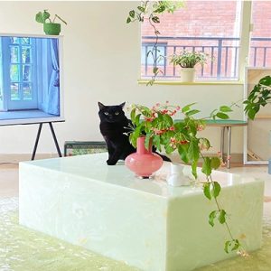 Green Onyx coffee table of home